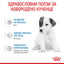 Royal Canin Baby dog milk - сухо мляко за подрастващи кучета - 400 гр.