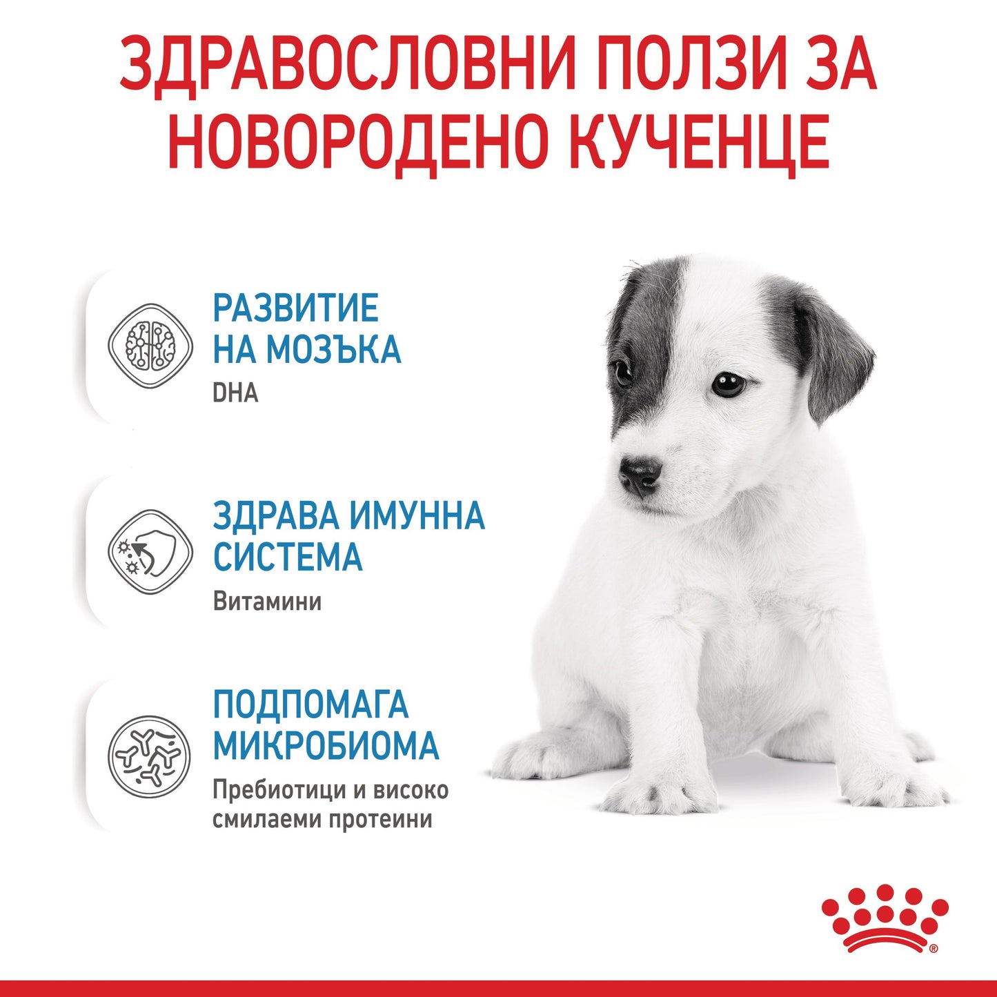 Royal Canin Baby dog milk - сухо мляко за подрастващи кучета - 400 гр.