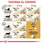 Royal Canin British Shorthair adult - Суха храна за котки