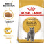 Royal Canin British Shorthair adult - Суха храна за котки