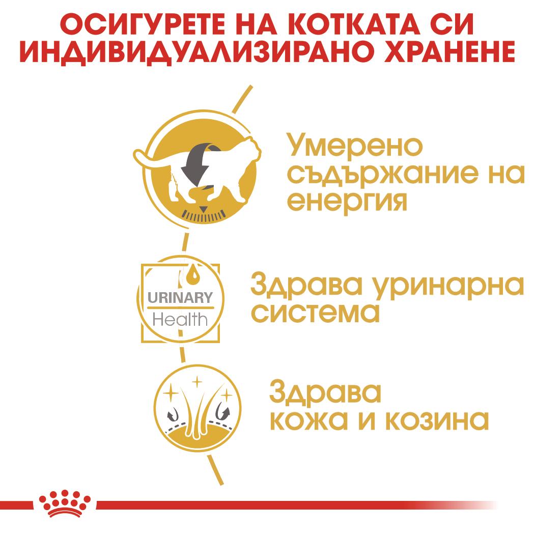 Royal Canin British Shorthair - паучове за котки - 12 броя x 85 гр.