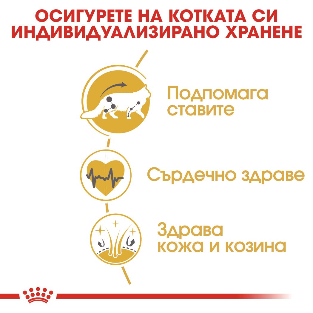 Royal Canin Maine Coon Adult - суха храна за котки