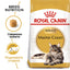 Royal Canin Maine Coon Adult - суха храна за котки