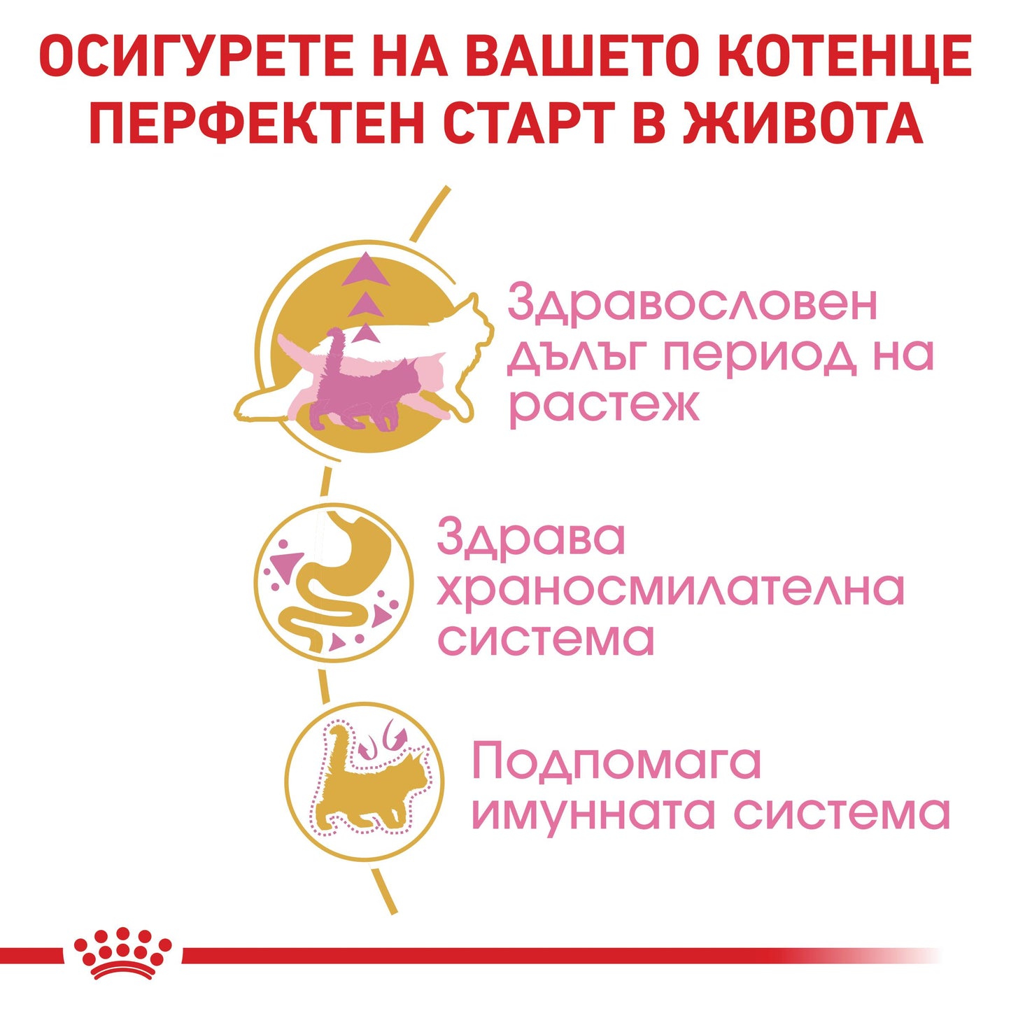 Royal Canin Maine Coon - суха храна за подрастващи котки - 2 кг.