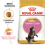 Royal Canin Maine Coon - суха храна за подрастващи котки - 2 кг.