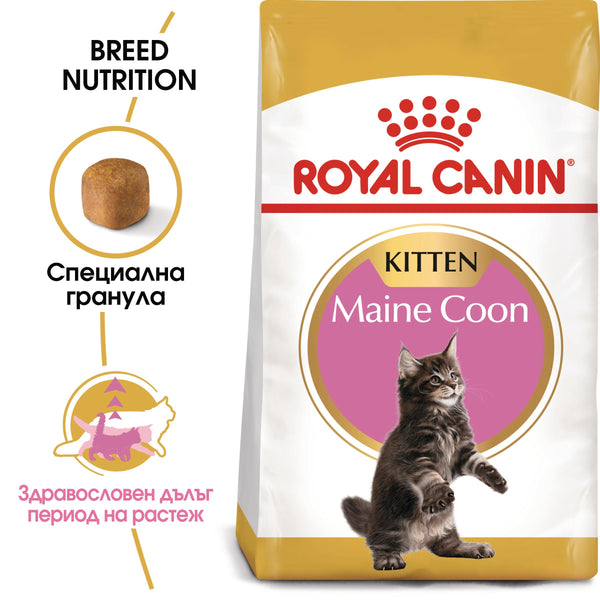 Royal Canin Maine Coon - суха храна за подрастващи котки - 2 кг.