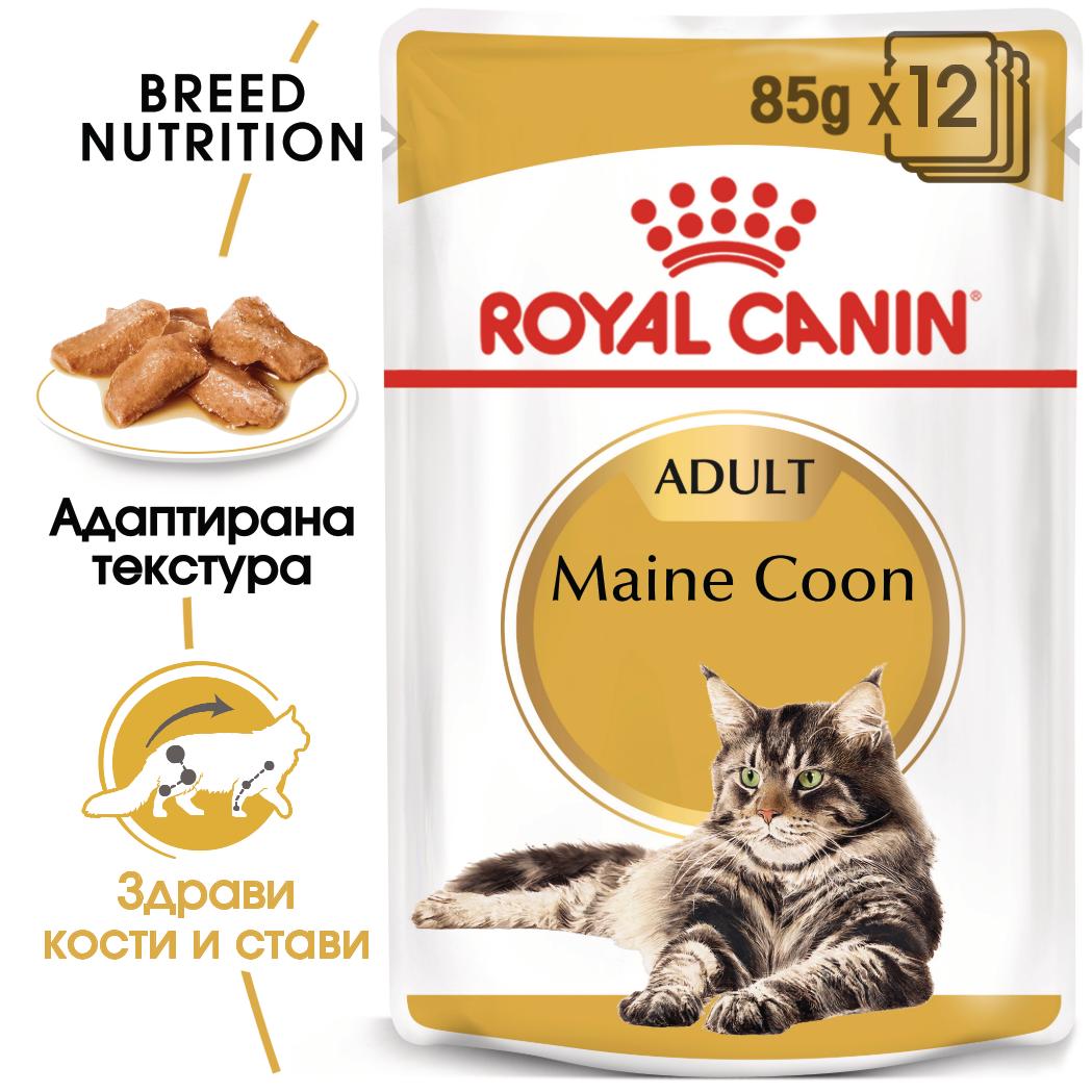 Royal Canin Maine Coon Adult - паучове за котки - 12 броя x 85 гр.