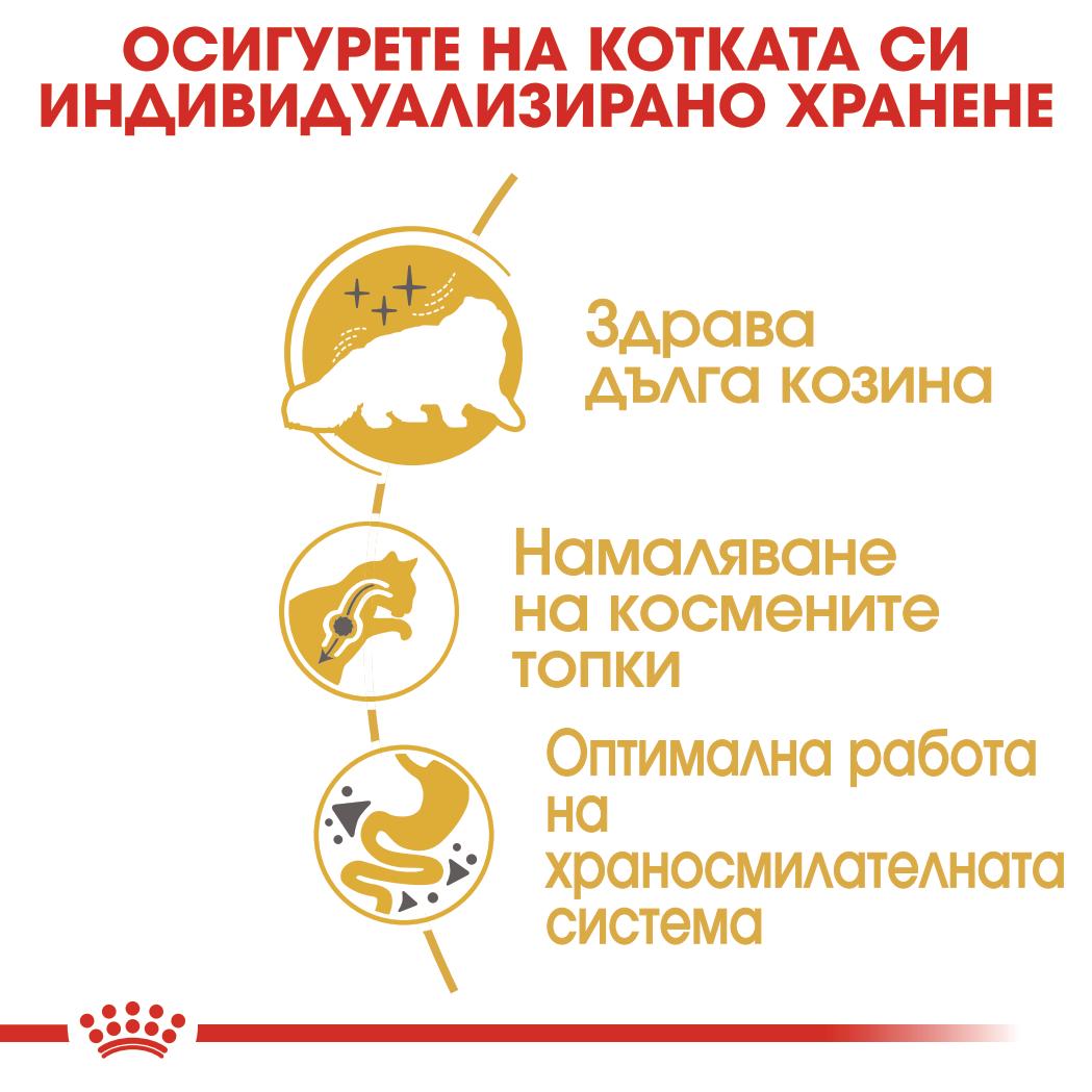 Royal Canin Persian adult - Суха храна за котки