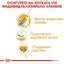 Royal Canin Sphynx Adult - Суха храна за котки  - 2 кг.