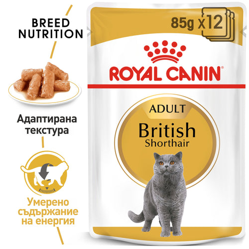 Royal Canin British Shorthair - паучове за котки - 12 броя x 85 гр.