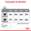 Royal Canin dental care - суха храна за котки
