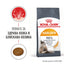 Royal Canin - суха храна за котки за поддържане на здрава кожа и козината