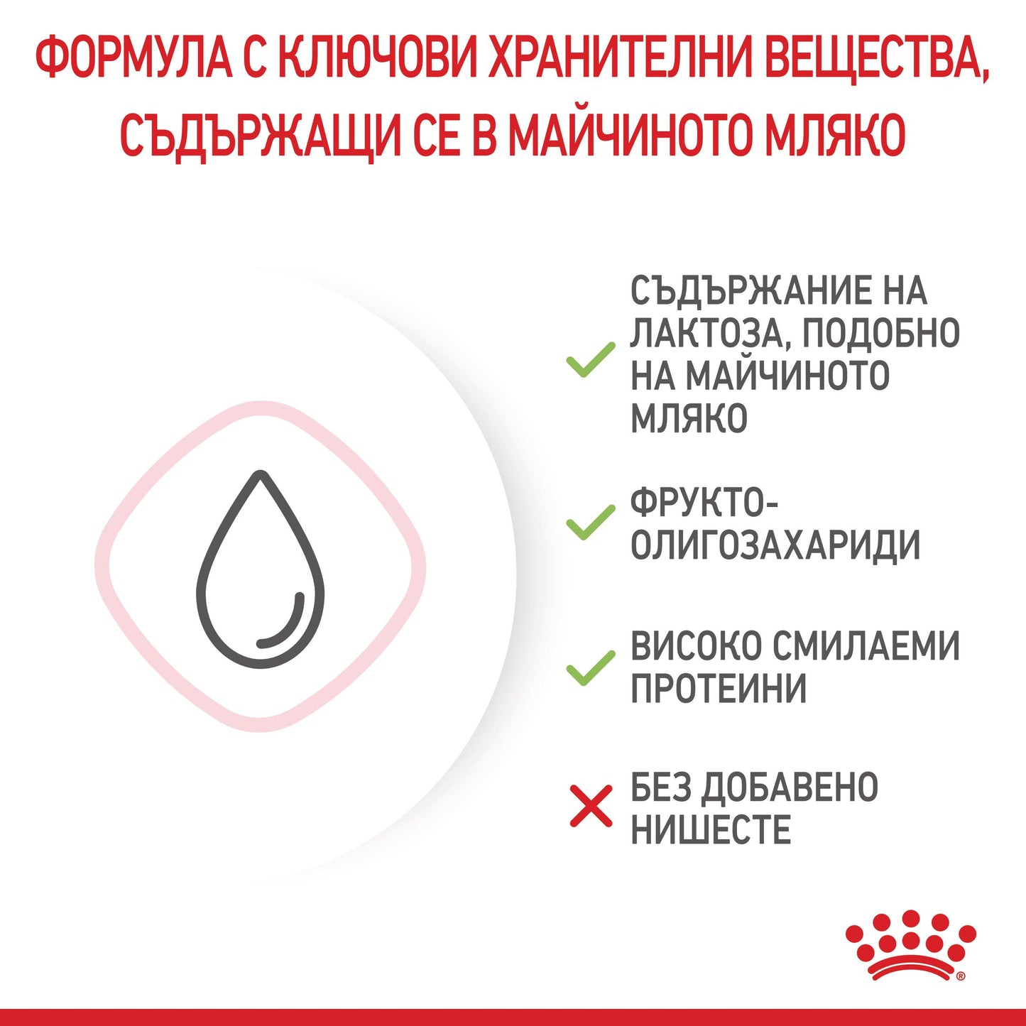 Royal Canin - сухо мляко за бебета котки - 300 гр.