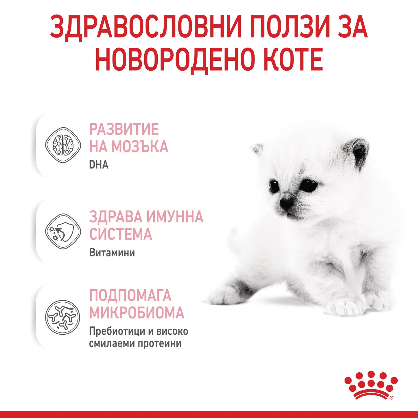Royal Canin - сухо мляко за бебета котки - 300 гр.