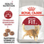 Royal Canin  Fit 32 - суха храна за котки