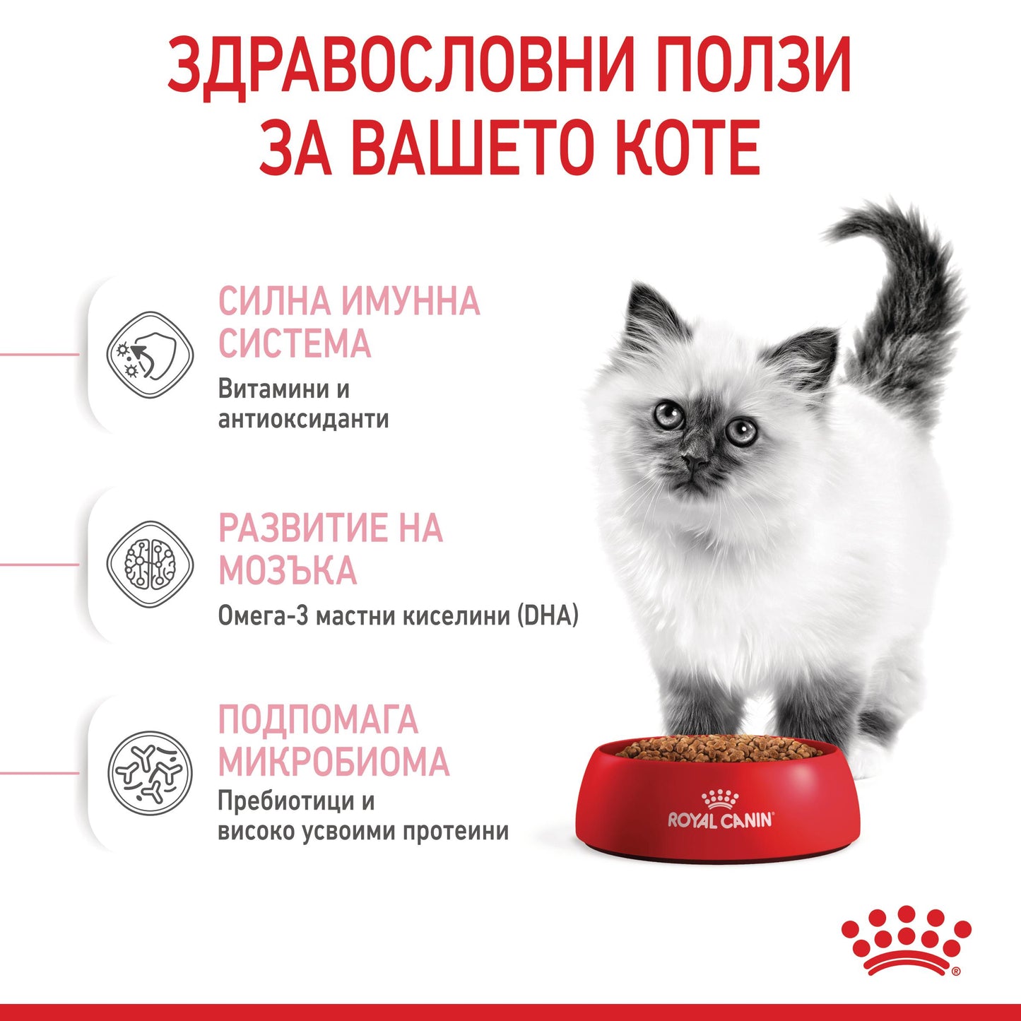 Royal Canin - суха храна за подрастващи котки