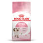 Royal Canin - суха храна за подрастващи котки