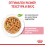 Royal Canin jelly - паучове за подрастващи котки - 12 x 85 гр.