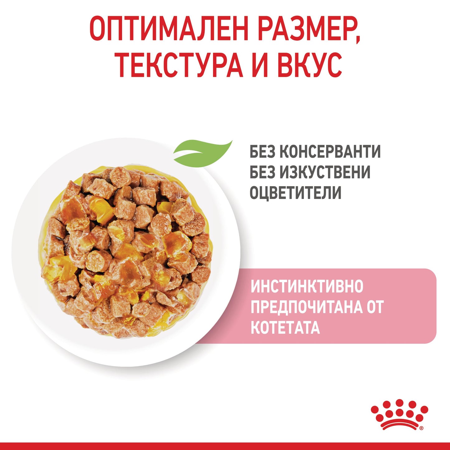 Royal Canin jelly - паучове за подрастващи котки - 12 x 85 гр.