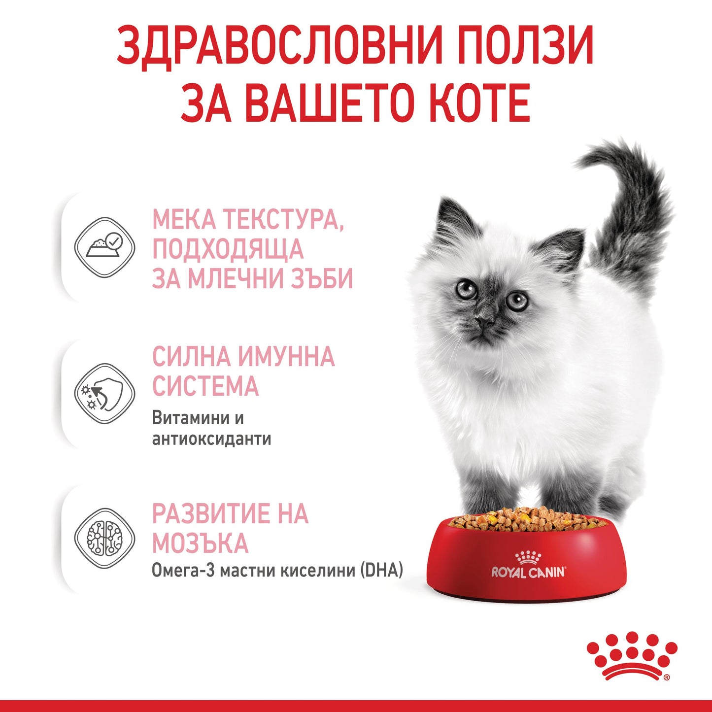 Royal Canin jelly - паучове за подрастващи котки - 12 x 85 гр.