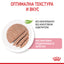 Royal Canin loaf - паучове за подрастващи котки - 12 броя x 85 гр.