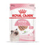 Royal Canin loaf - паучове за подрастващи котки - 12 броя x 85 гр.