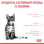 Royal Canin kitten Sterilised - суха храна за подрастващи котки след кастрация - 400 гр.