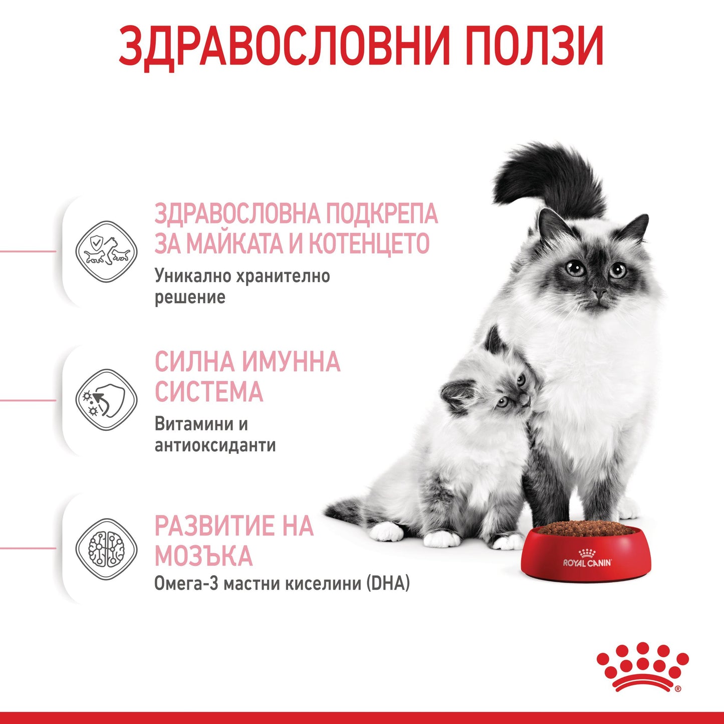 Royal Canin Mother & babycat - суха храна за котки