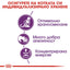 Royal Canin instinctive sensible 33 - суха храна за котки