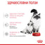 Royal Canin Mother & babycat - консервирана храна за котки - 6 броя x 195 гр.