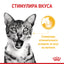 Royal Canin sensory taste gravy - паучове за котки - 12 броя x 85 гр.