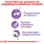 Royal Canin sterilised  loaf - паучове за кастрирани котки - 12 броя x 85 гр.