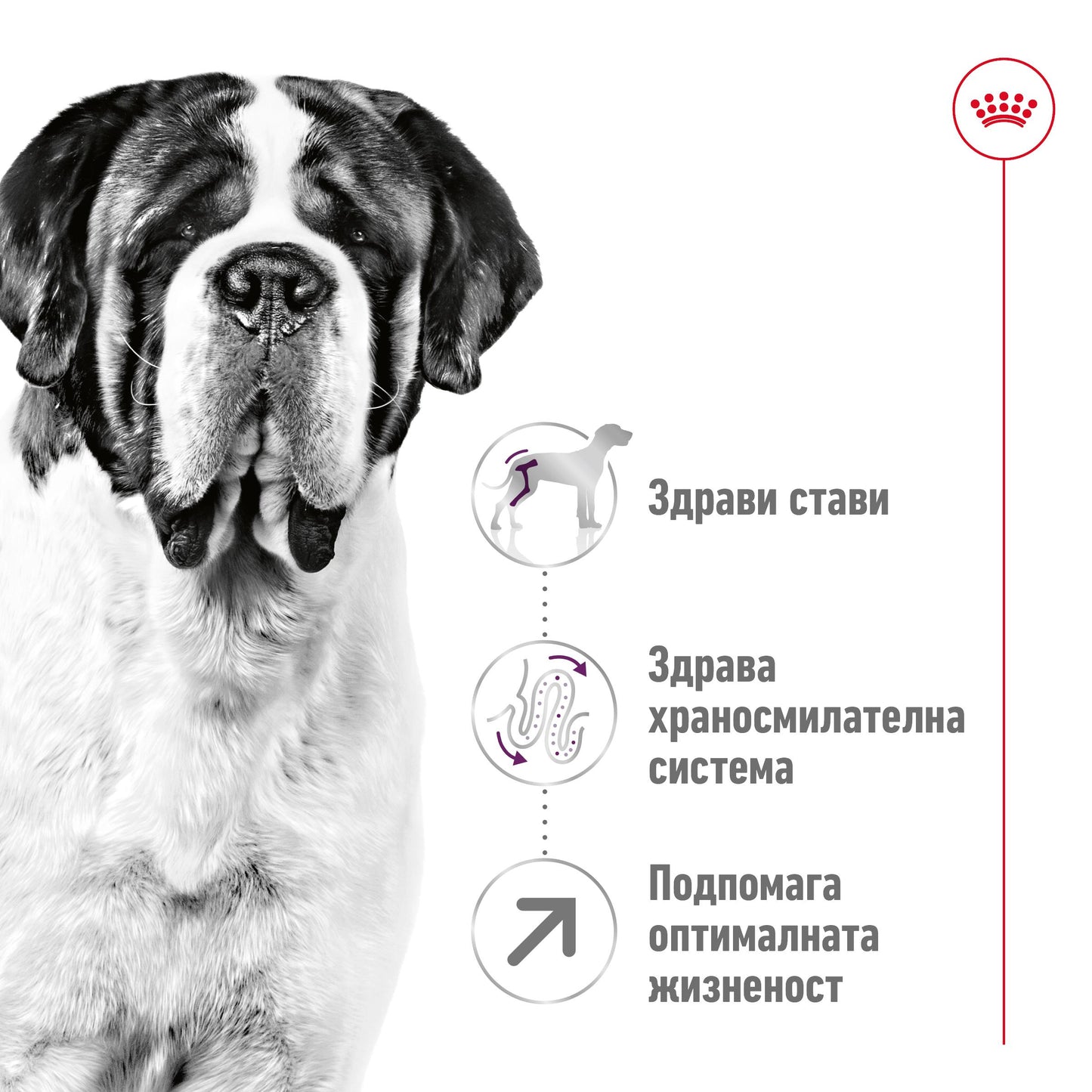 Royal Canin Giant Adult - суха храна за кучета - 15 кг.