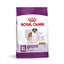 Royal Canin Giant Adult - суха храна за кучета - 15 кг.