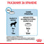 Royal Canin giant junior - суха храна за подрастващи кучета - 15 кг.