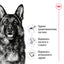 Royal Canin Maxi Adult - суха храна за кучета