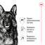 Royal Canin Maxi Adult +5 - суха храна за кучета - 15 кг.