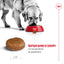 Royal Canin Maxi Adult +5 - суха храна за кучета - 15 кг.