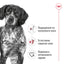 Royal Canin Medium Adult - суха храна за кучета