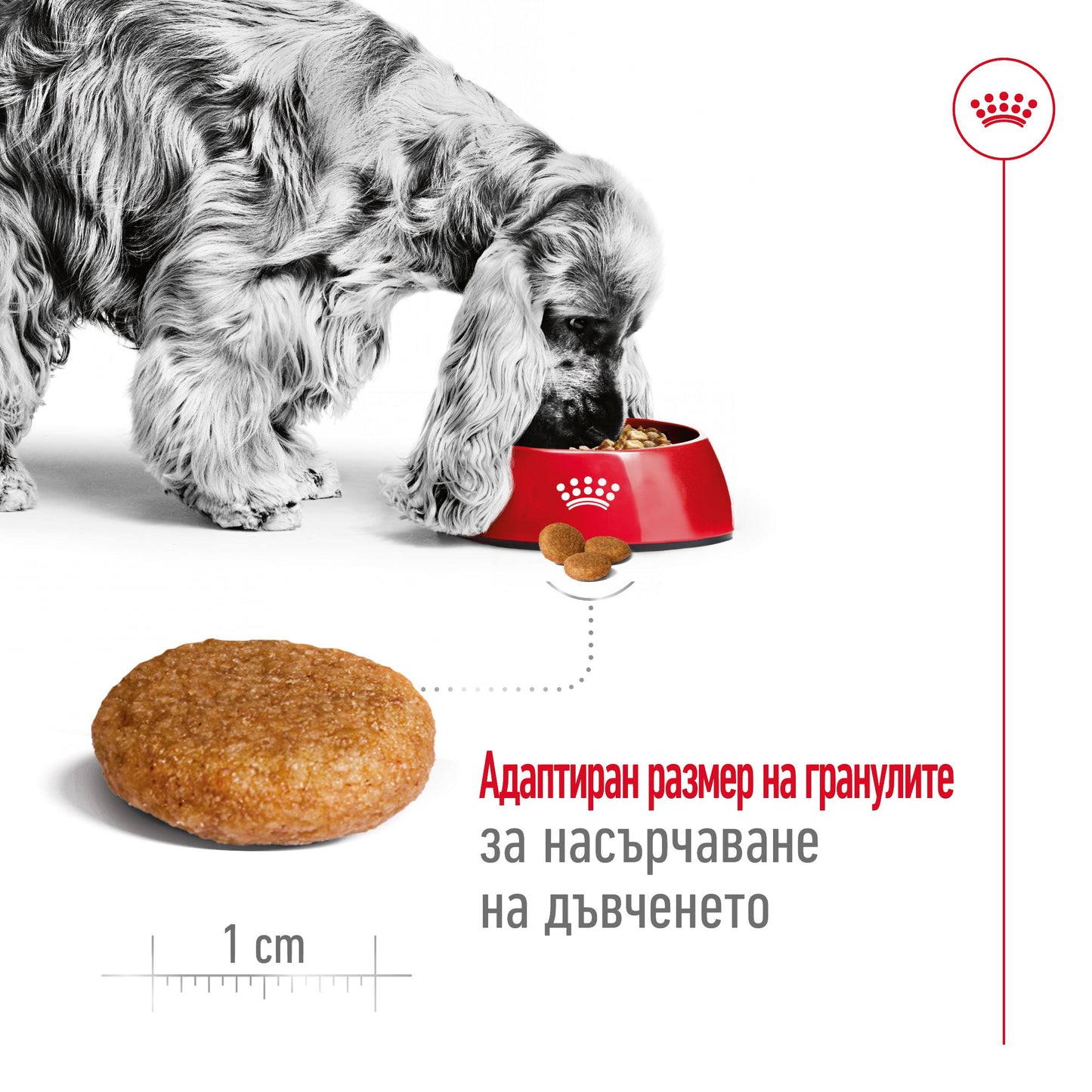 Royal Canin Medium Adult - суха храна за кучета