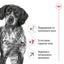 Royal Canin Medium Adult +7 - суха храна за кучета - 15 кг.