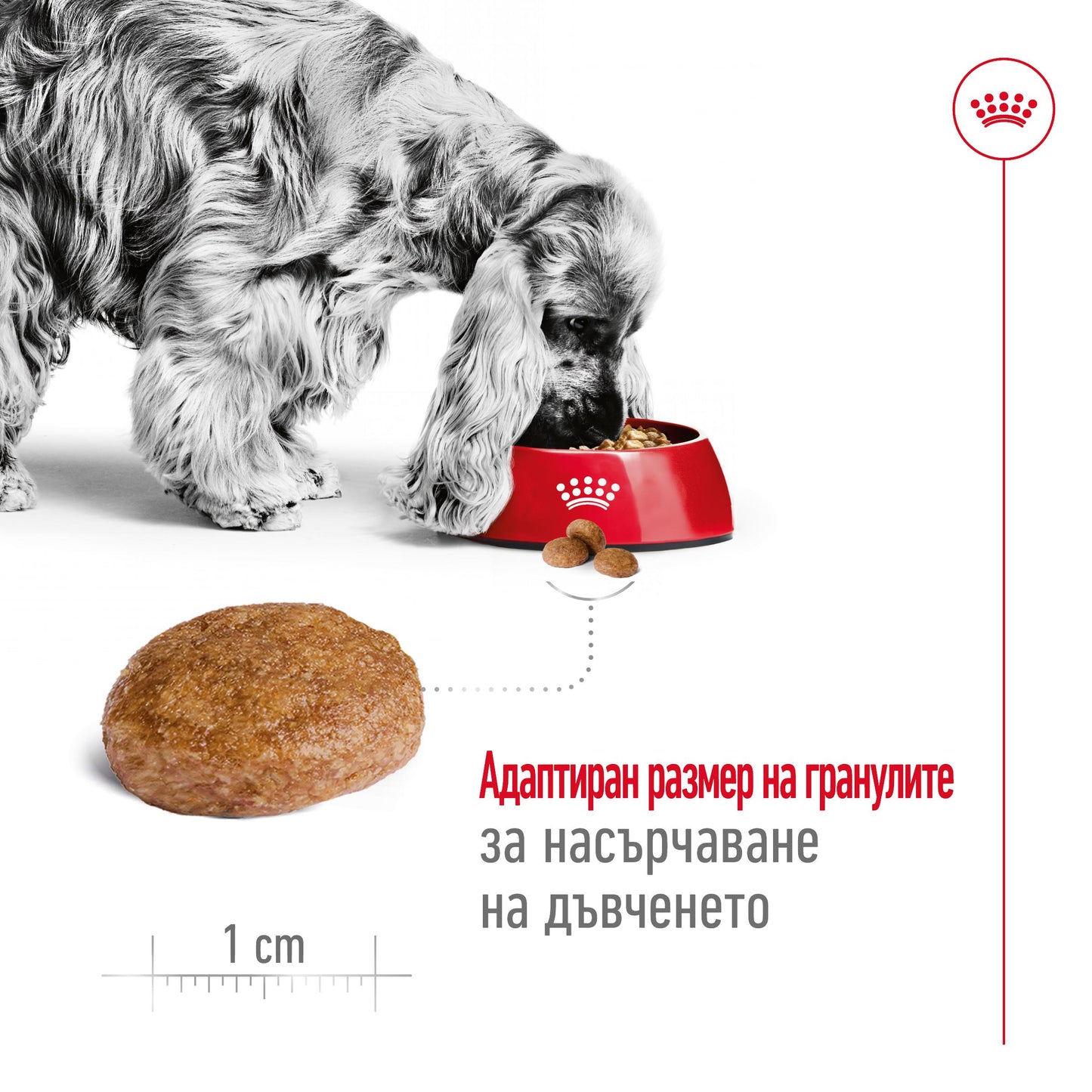 Royal Canin Medium Adult +7 - суха храна за кучета - 15 кг.