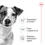 Royal Canin Mini Adult - суха храна за кучета
