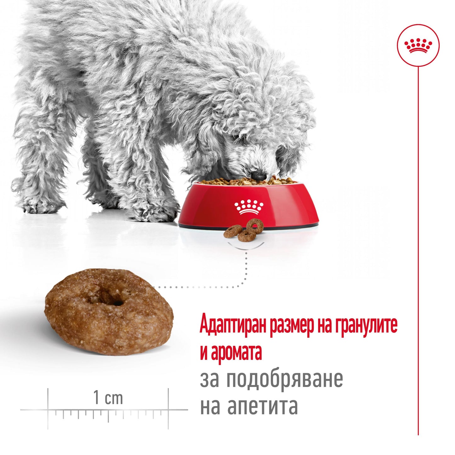 Royal Canin Mini Ageing 12+ - суха храна за кучета - 1.5 кг.