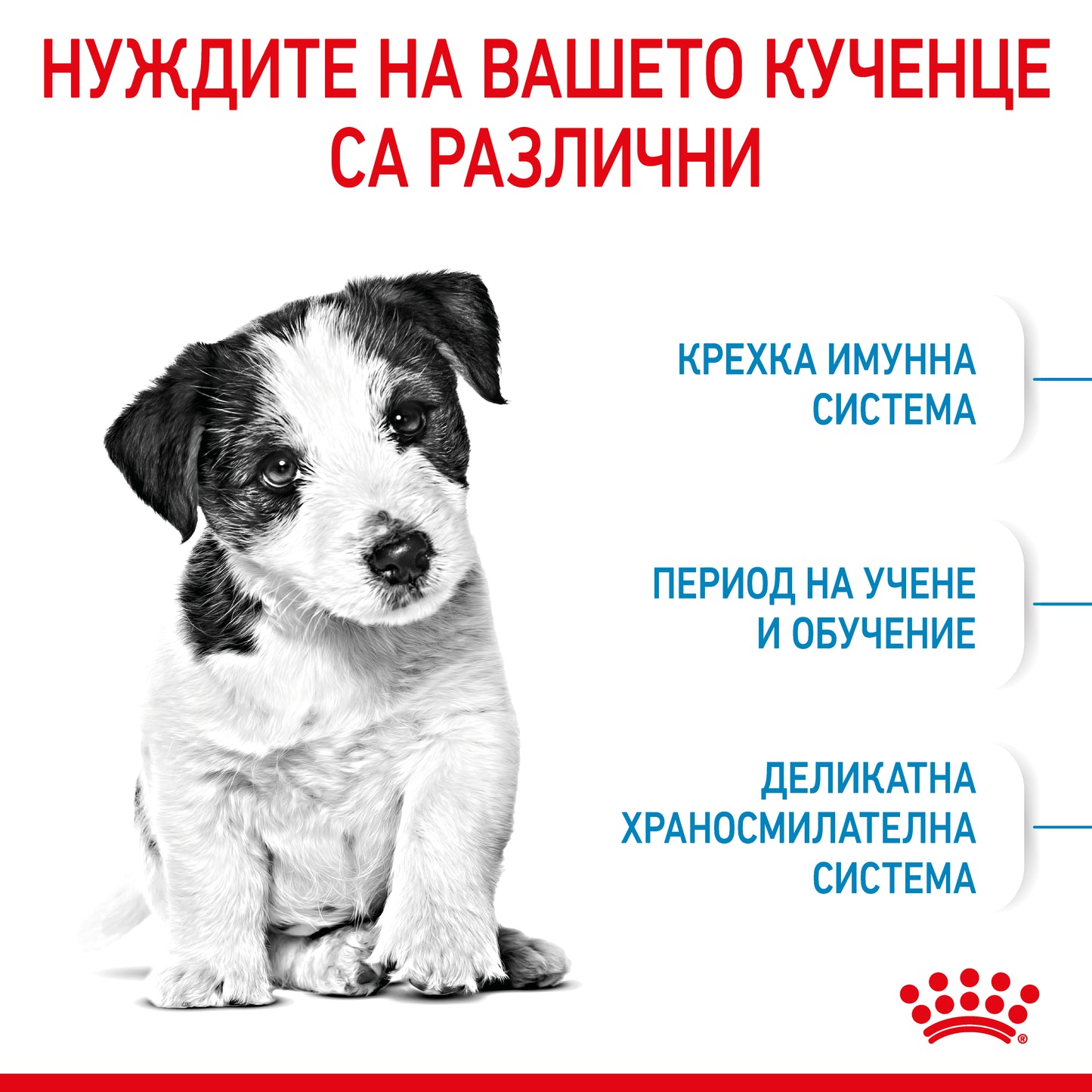 Royal Canin mini puppy - суха храна за подрастващи кучета