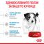 Royal Canin mini puppy - суха храна за подрастващи кучета