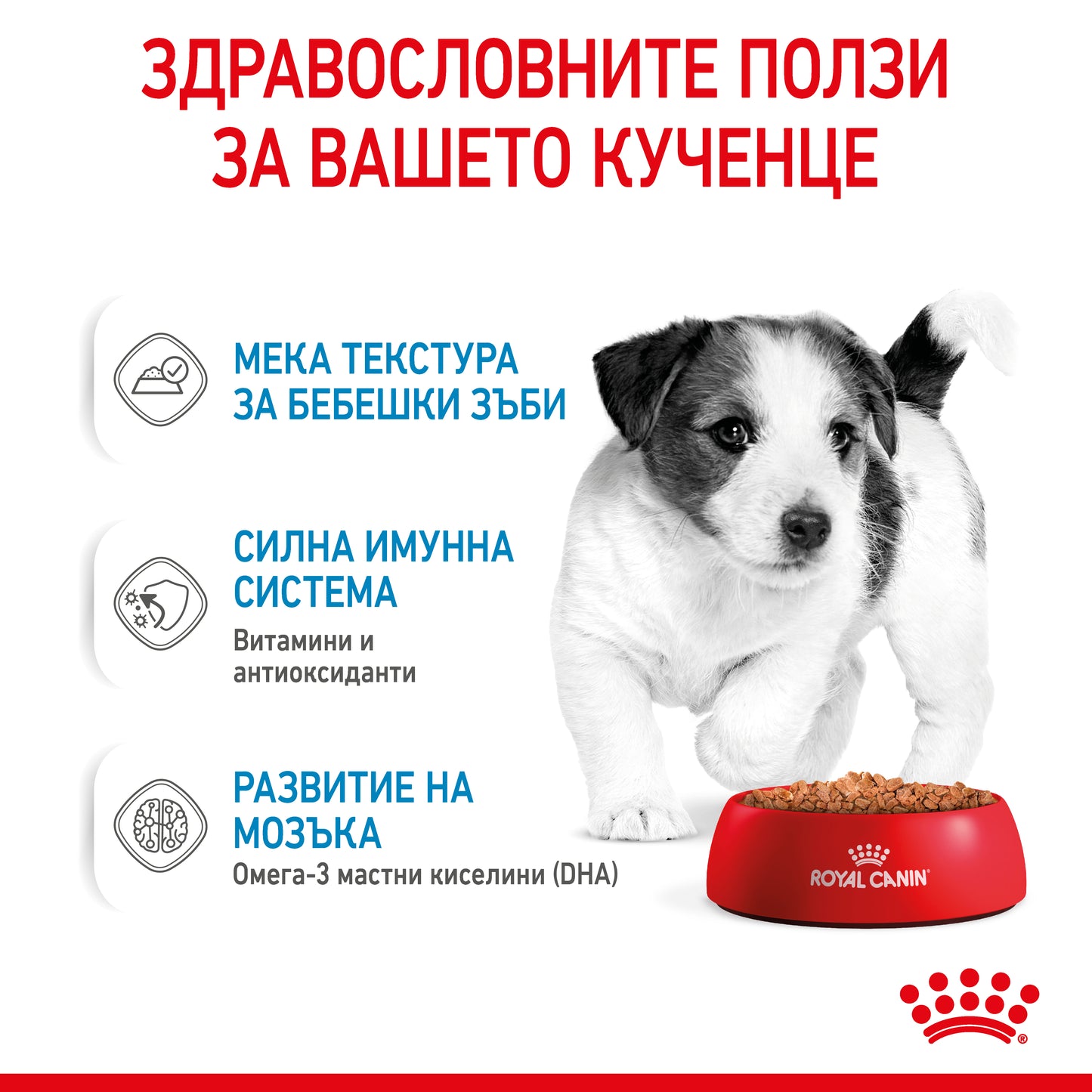 Royal Canin mini puppy - паучове за подрастващи кучета - 12 броя x 85 гр.