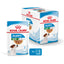 Royal Canin mini puppy - паучове за подрастващи кучета - 12 броя x 85 гр.