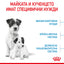 Royal Canin mini starter - суха храна за подрастващи кучета