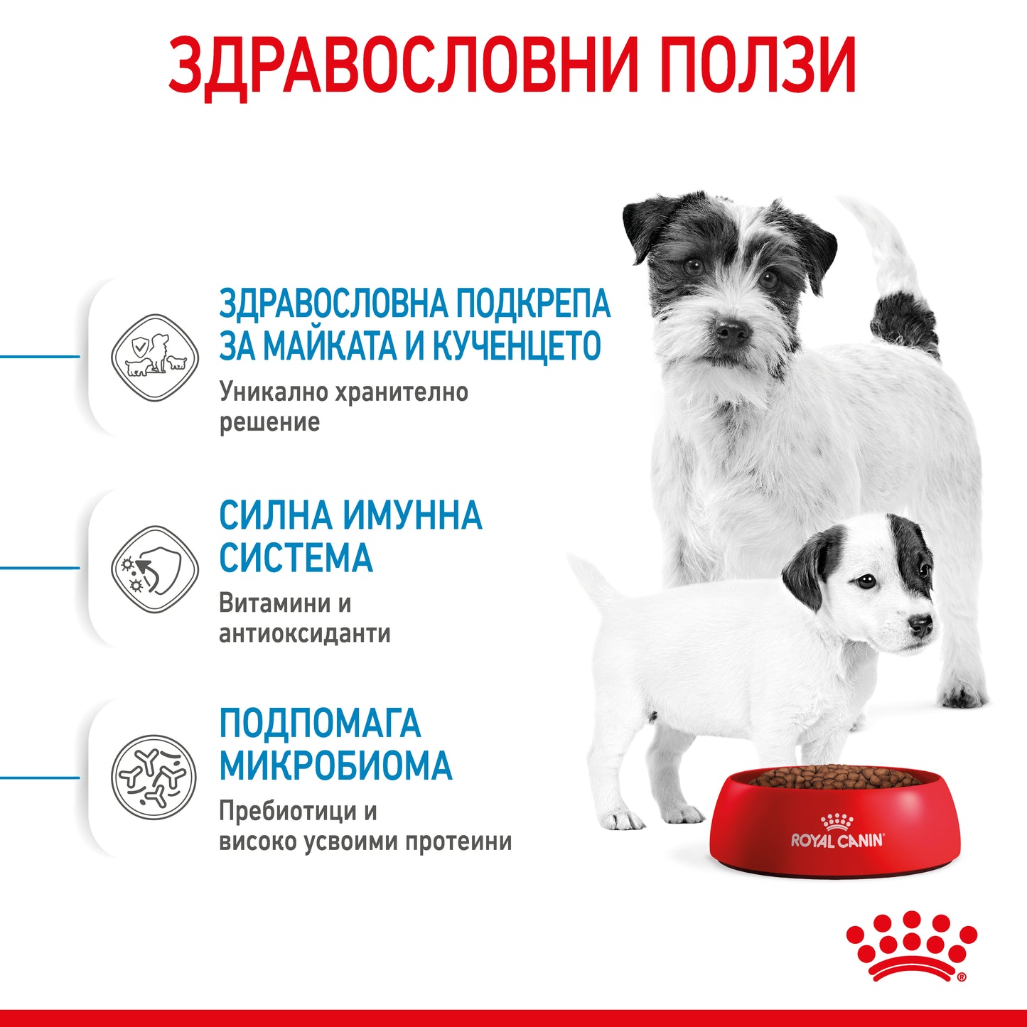 Royal Canin mini starter - суха храна за подрастващи кучета